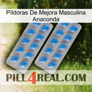 Píldoras De Mejora Masculina Anaconda 23